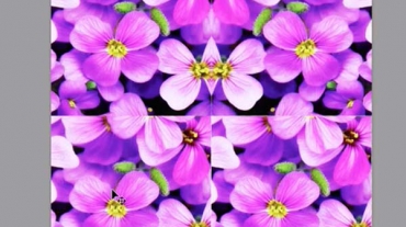 kaleidoscope-flowers